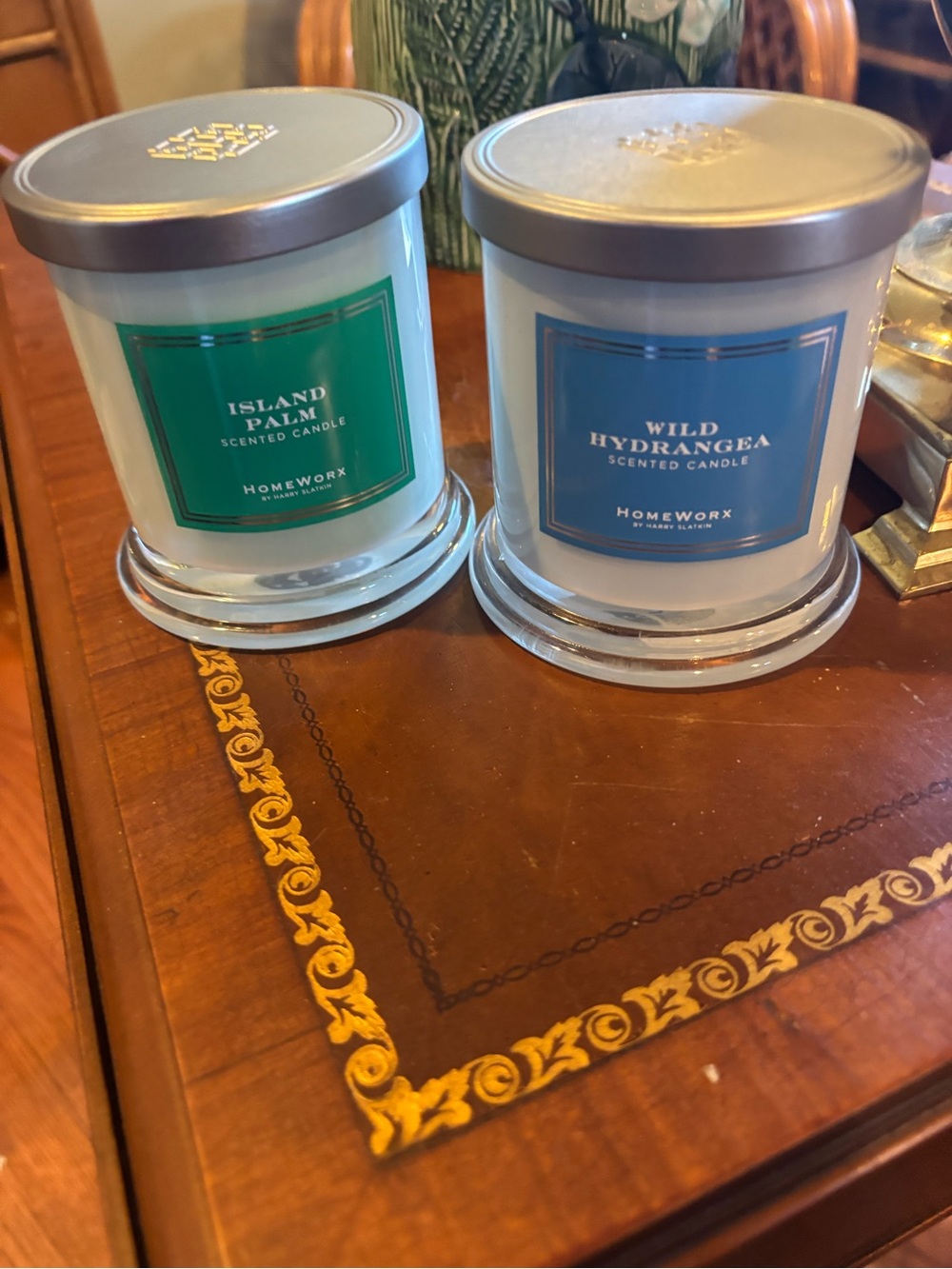 Homeworx Scented Candle Duo — Island Palm Green & Wild Hydrangea Blue